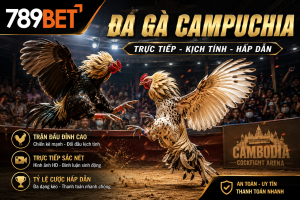 Chi tiết về trò chơi đá gà Campuchia tại nhà cái 789bet