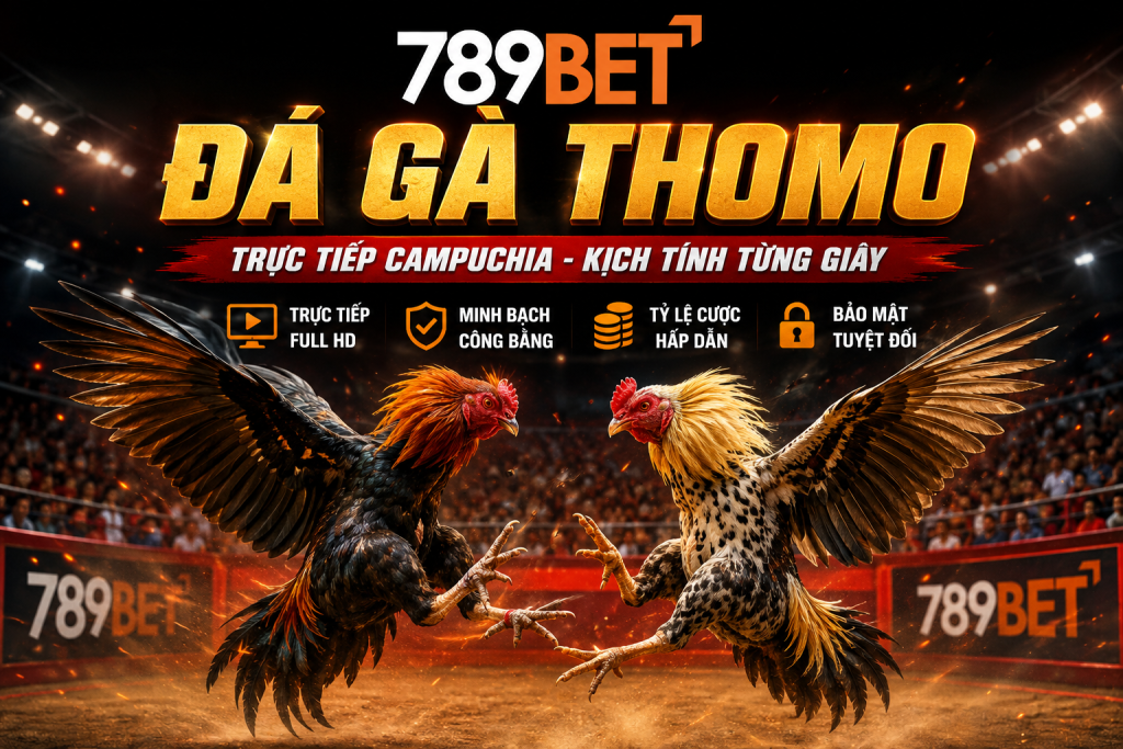 Đá gà Thomo tại nhà cái 789Bet