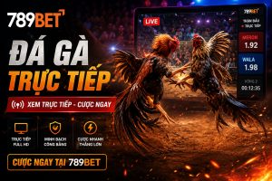 Tham gia đá gà trực tiếp tại nhà cái 789bet